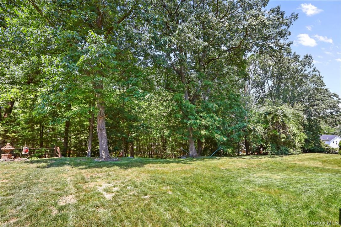 Photo 24 of this property