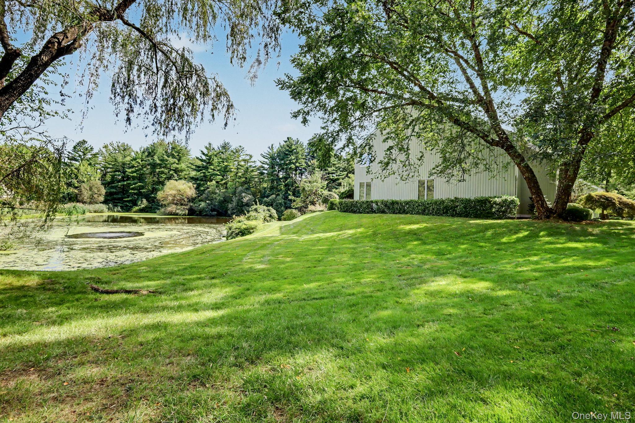 Photo 41 of this property