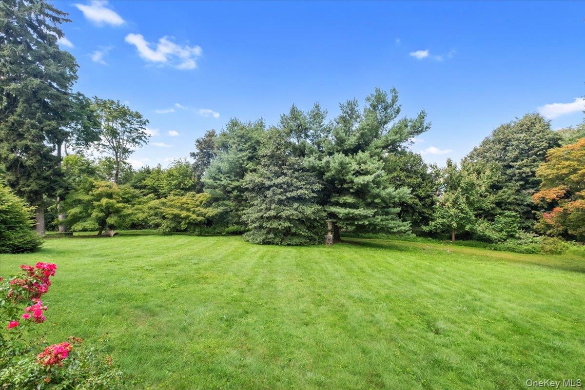 Photo 34 of this property