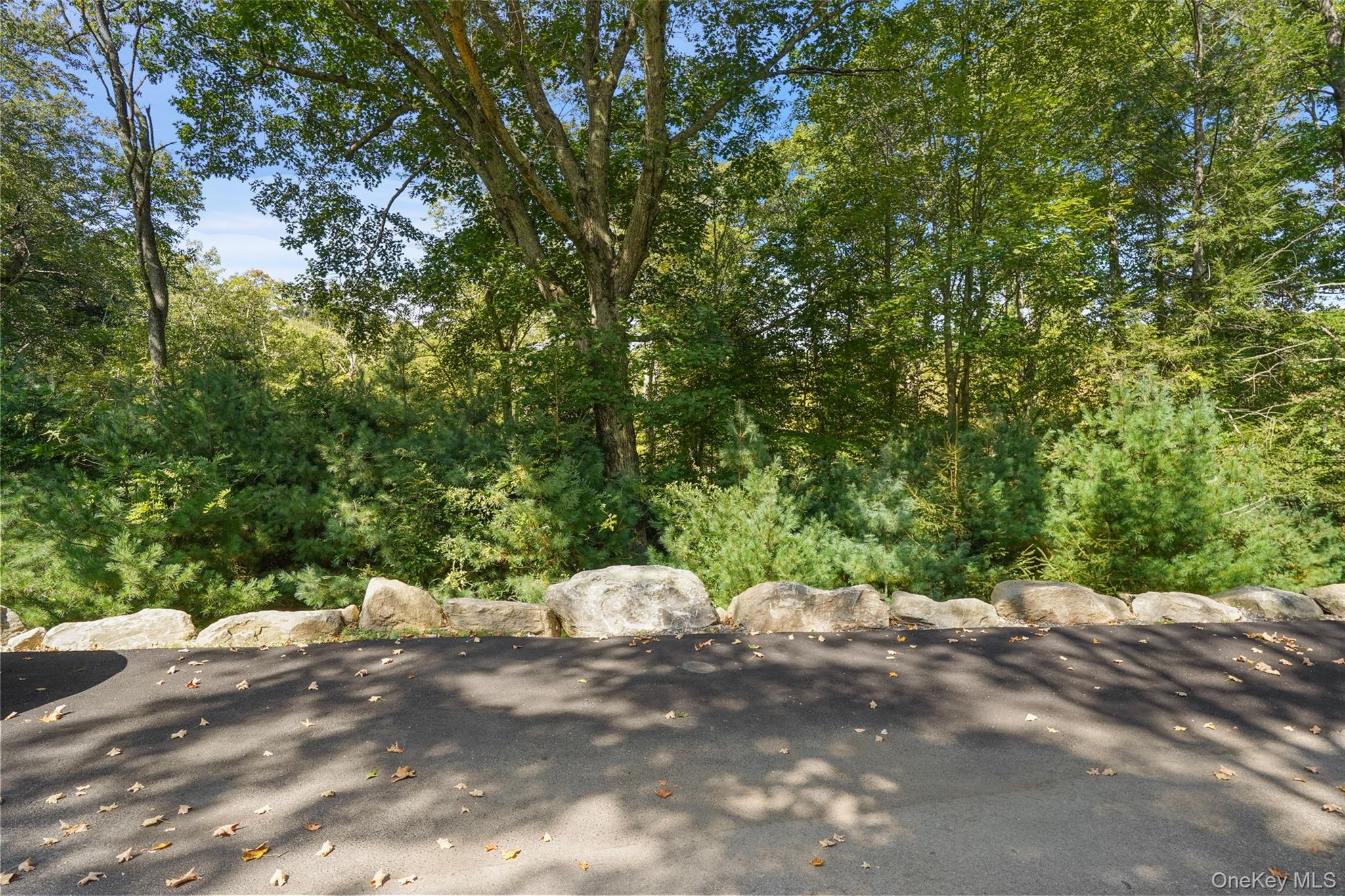 Photo 17 of this property