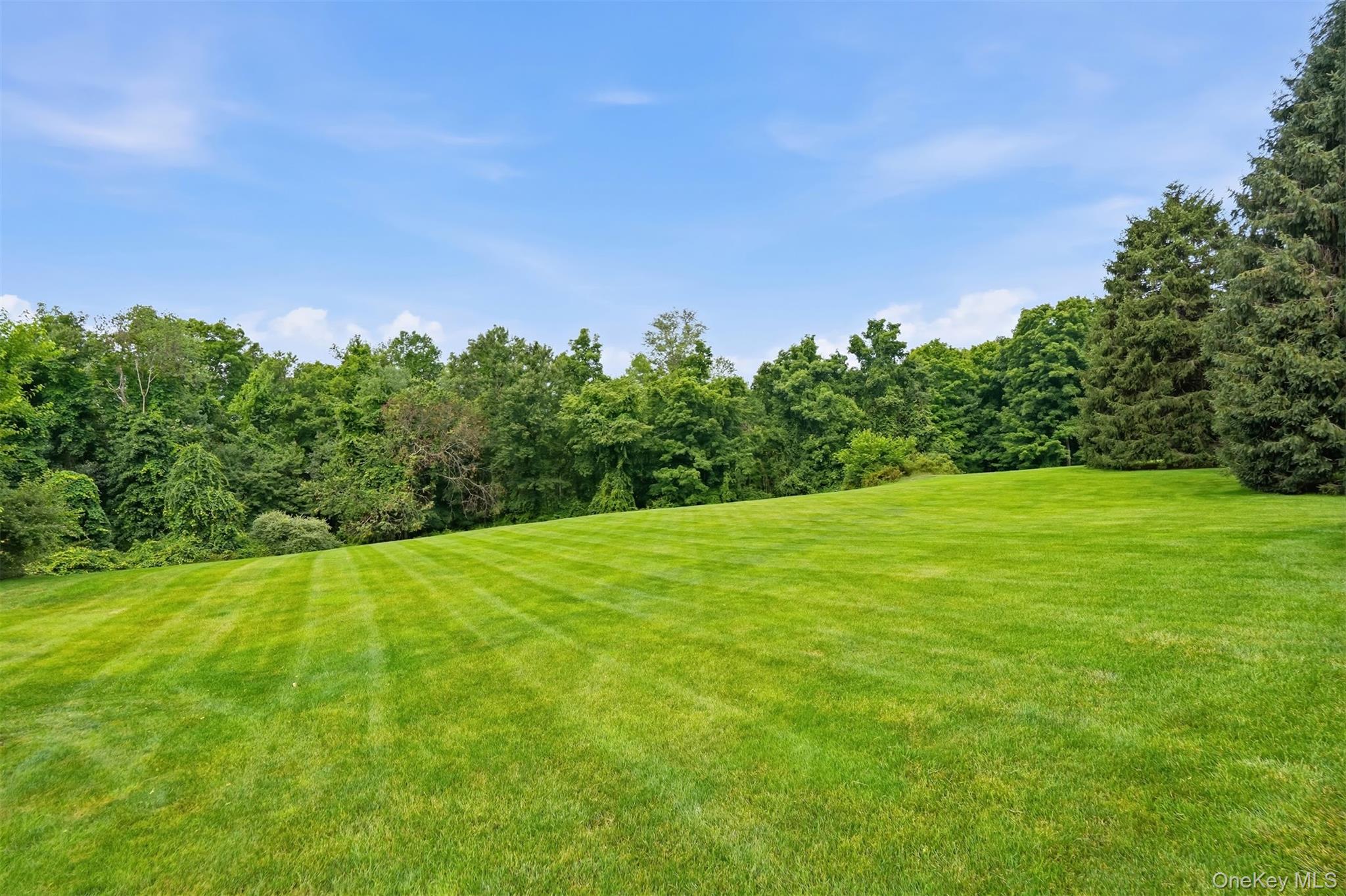 Photo 47 of this property
