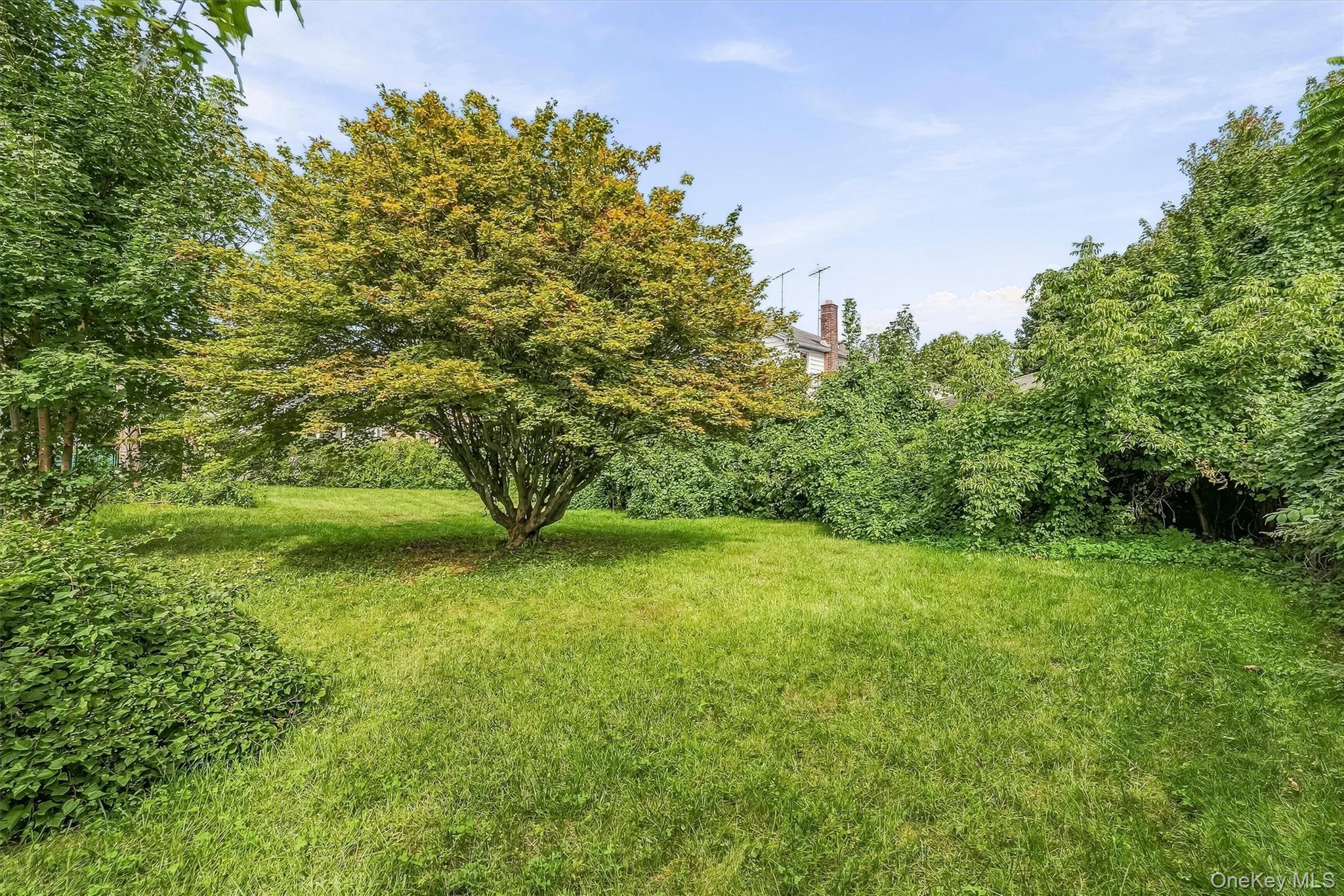 Photo 6 of this property