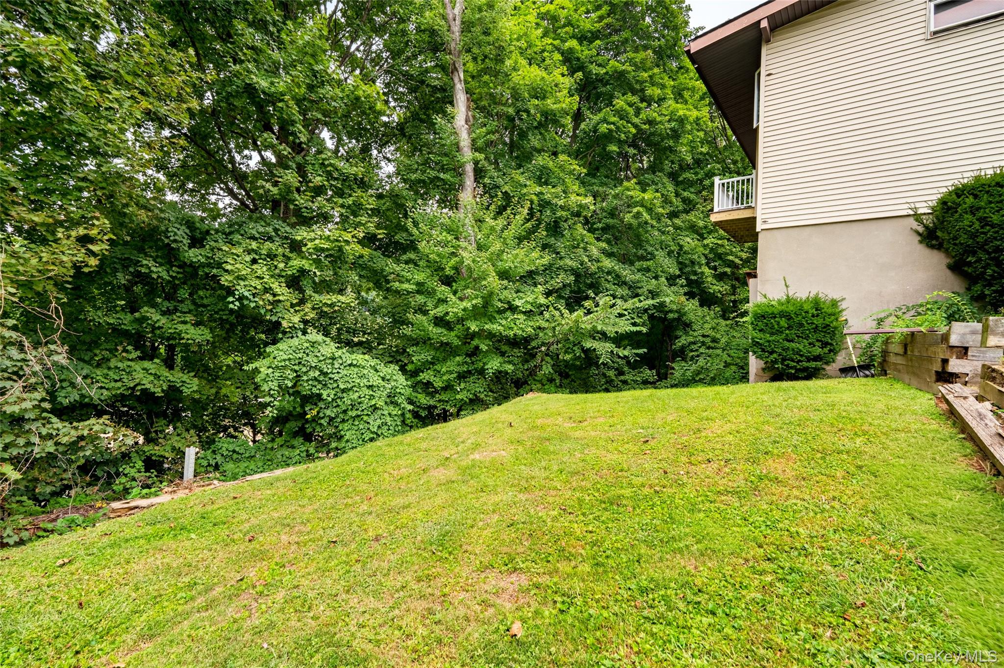 Photo 49 of this property