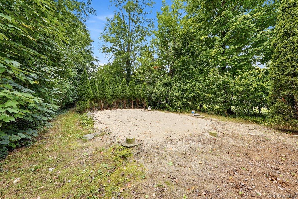 Photo 24 of this property