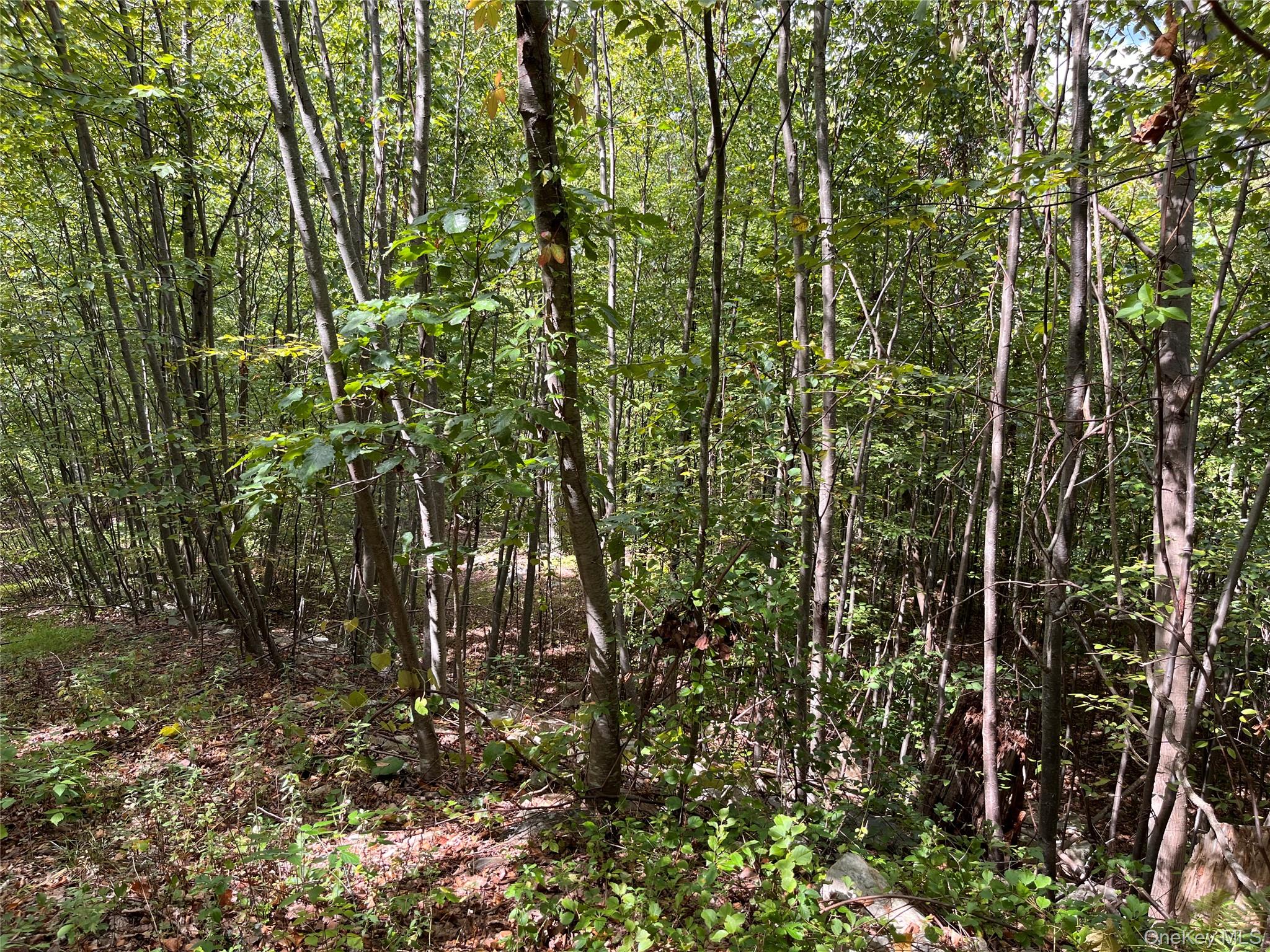 Photo 4 of this property