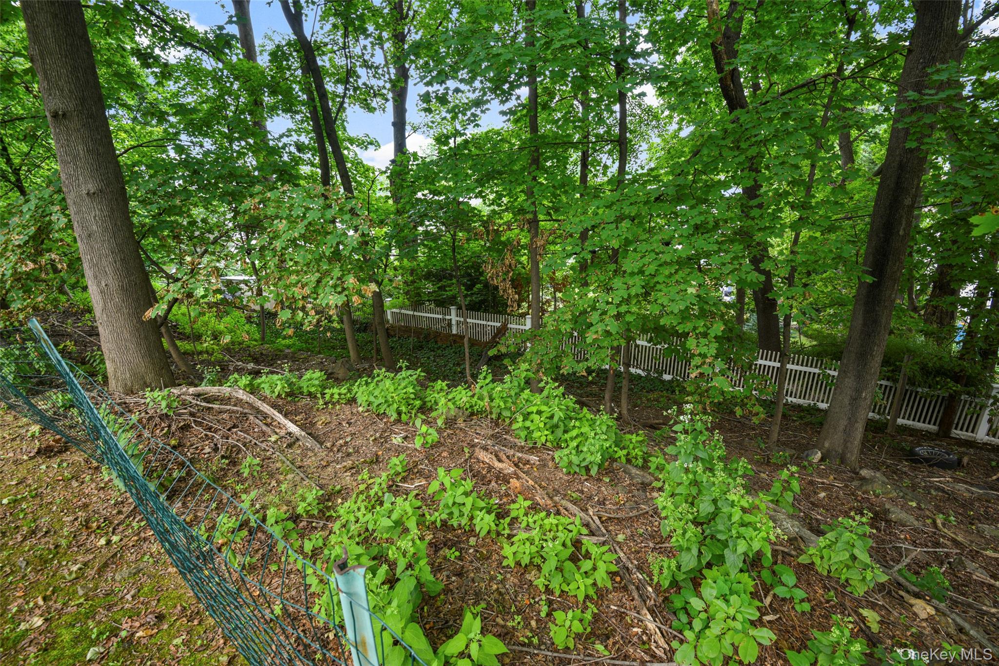 Photo 37 of this property