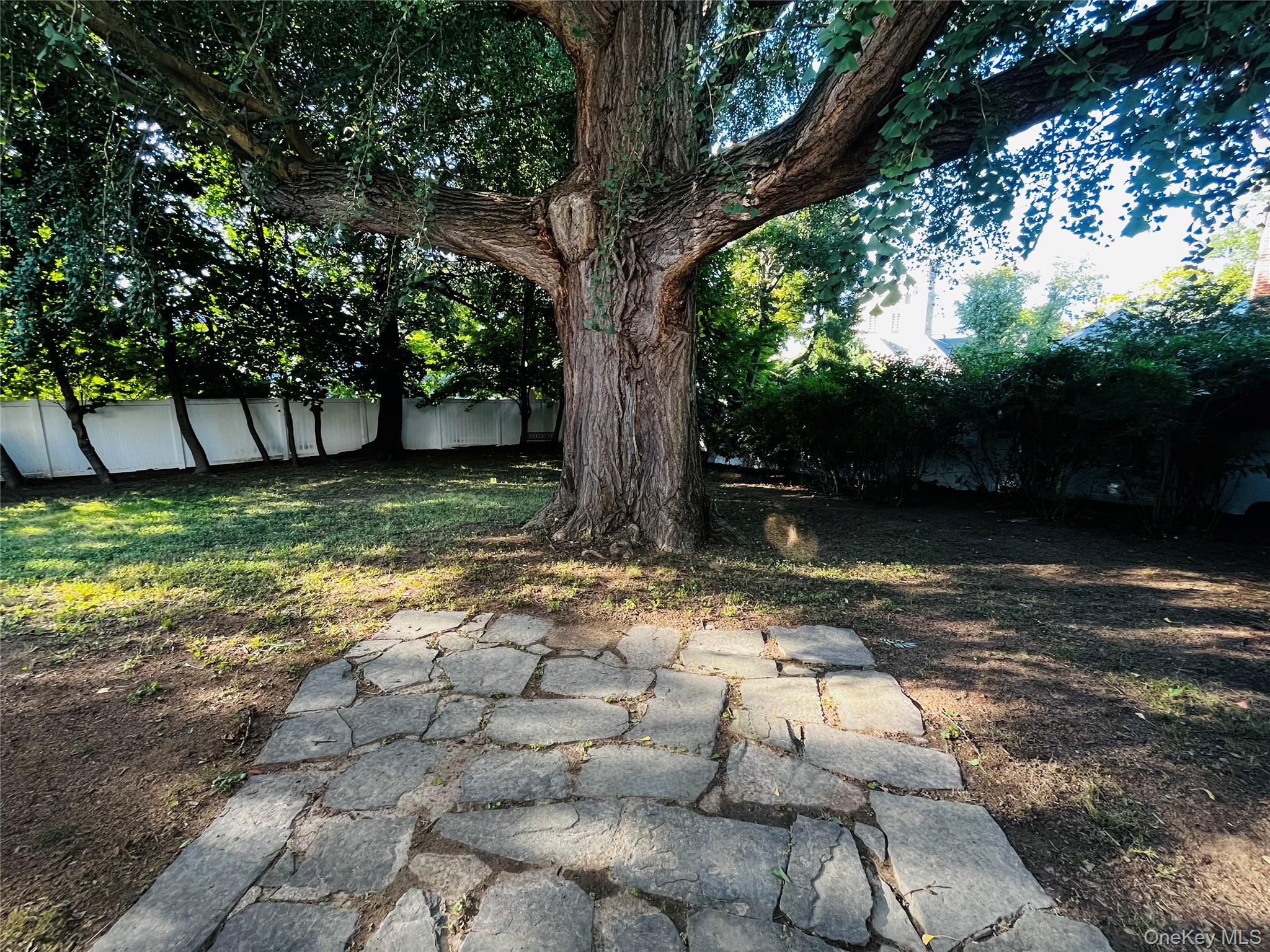 Photo 5 of this property