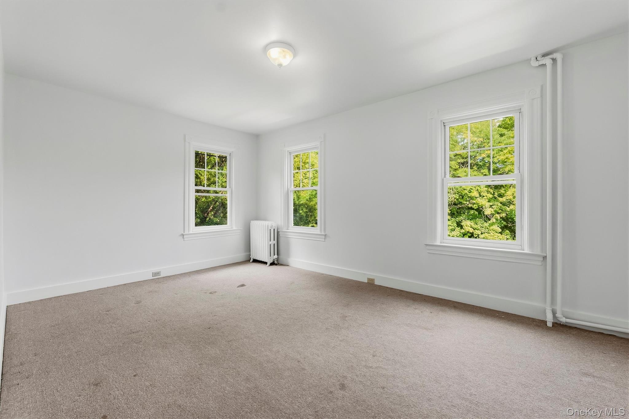 Photo 21 of this property