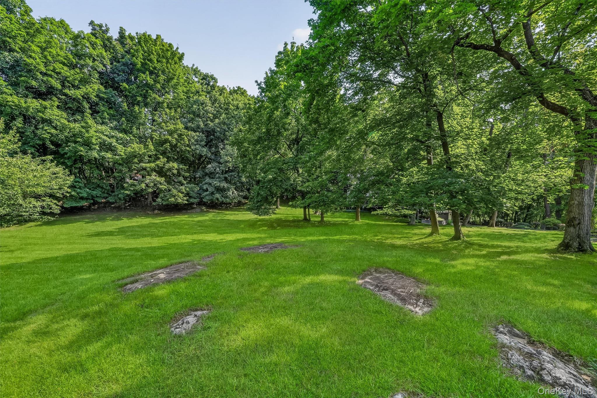 Photo 42 of this property