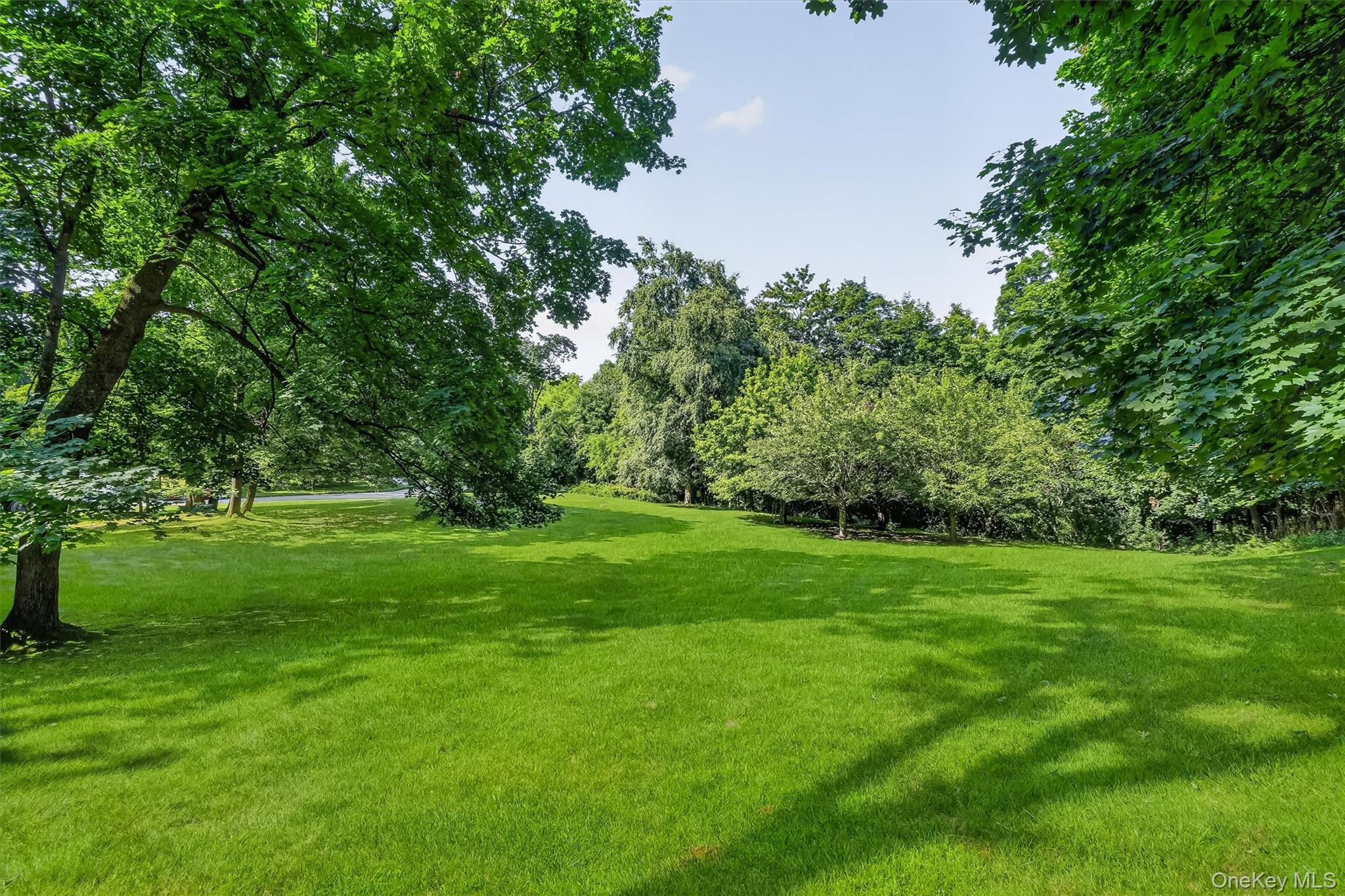 Photo 43 of this property