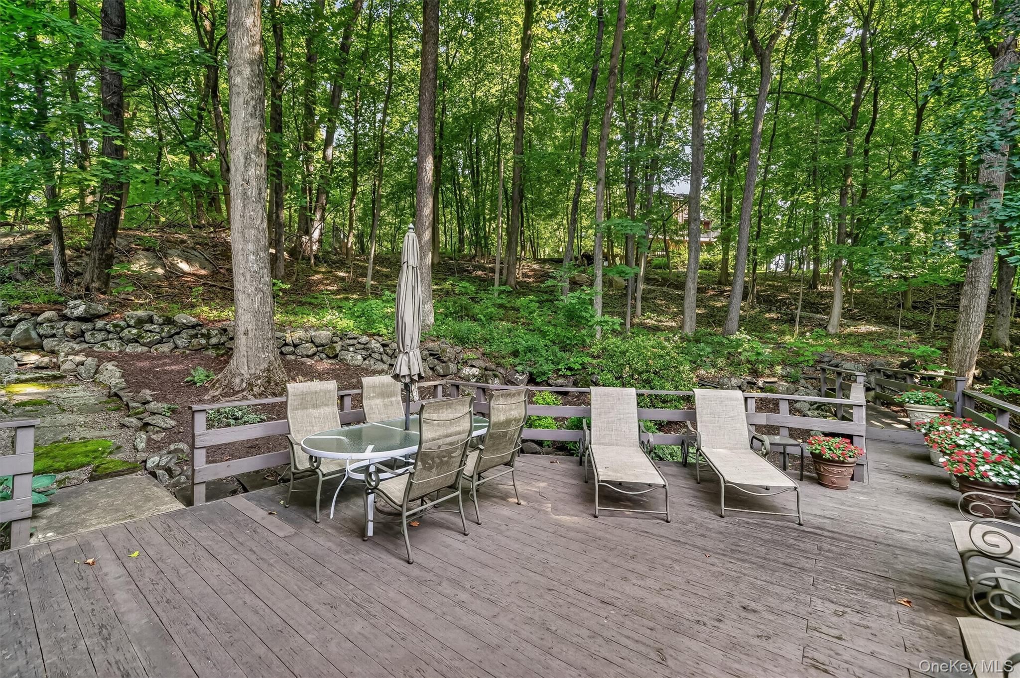 Photo 39 of this property