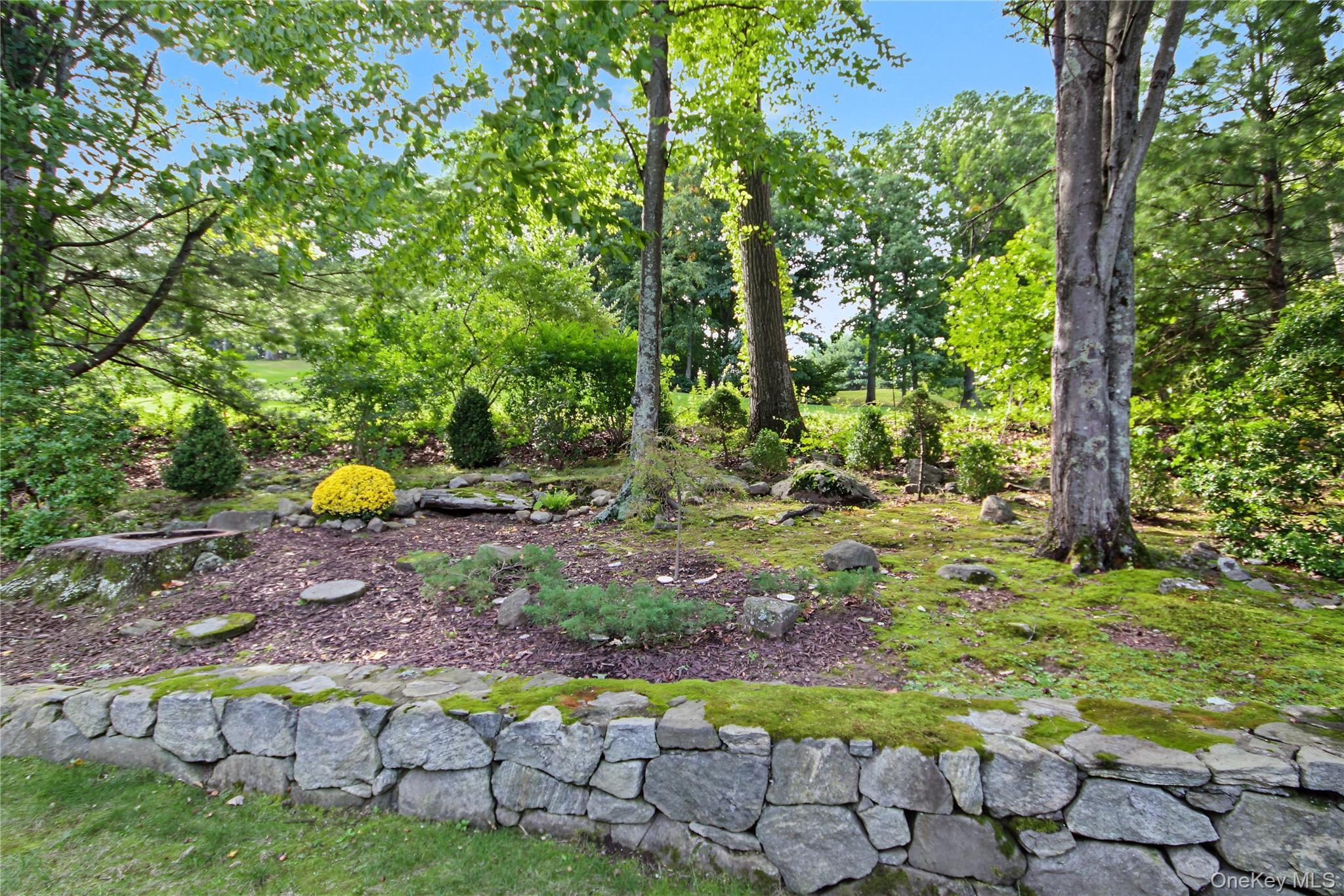 Photo 35 of this property