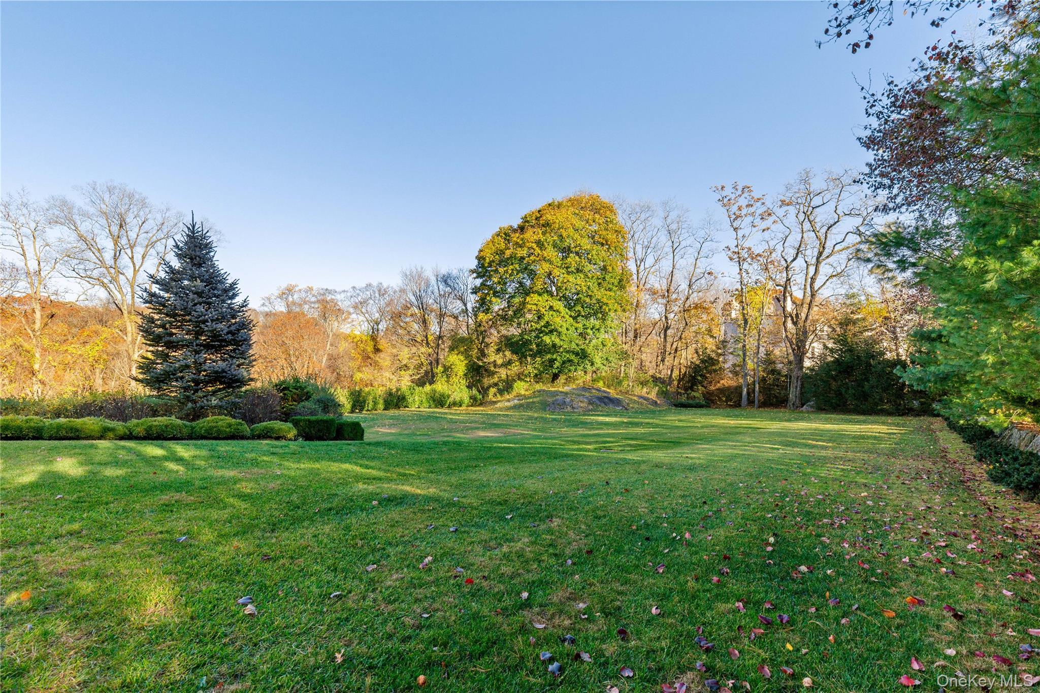 Photo 41 of this property