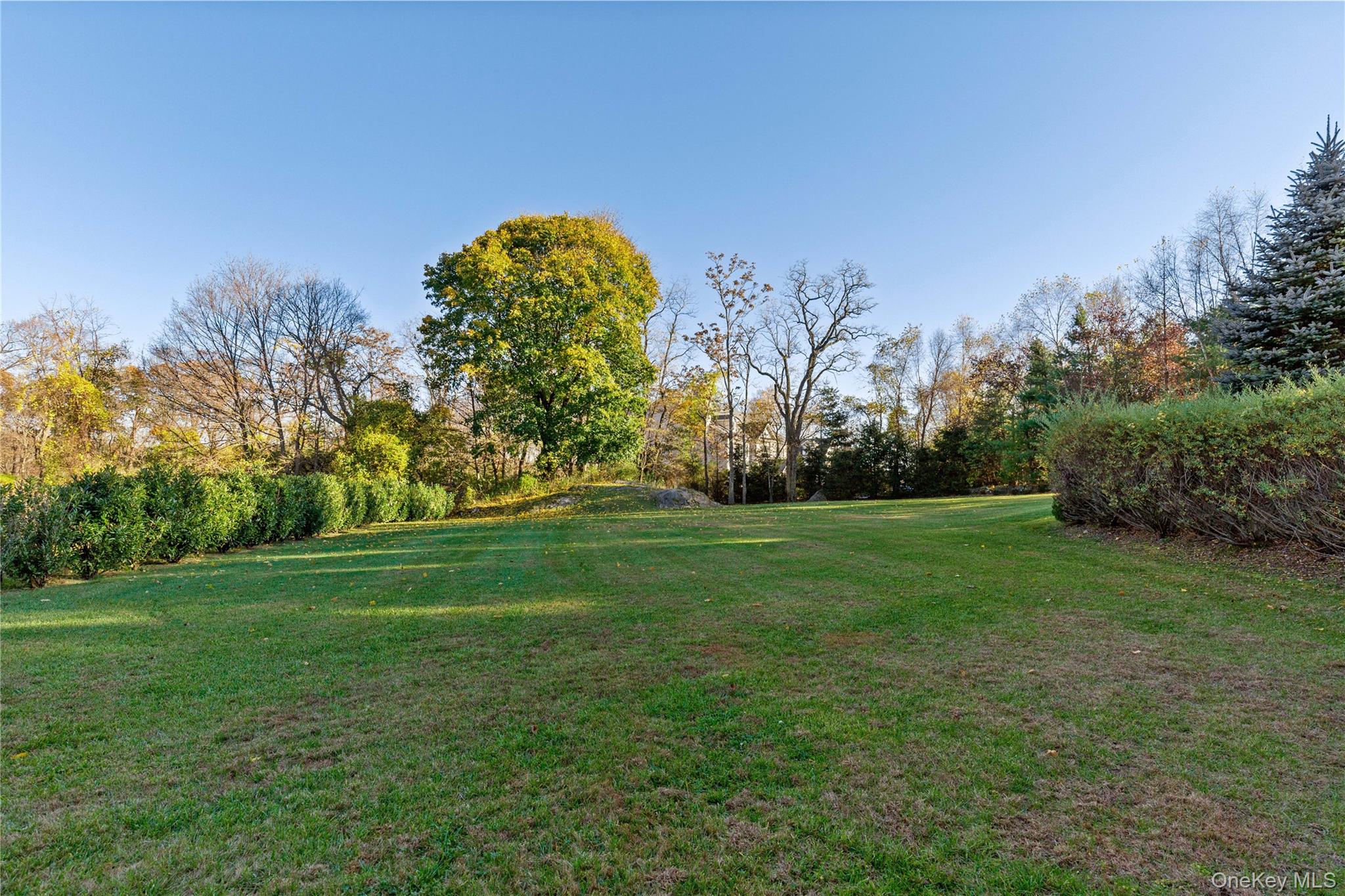 Photo 40 of this property