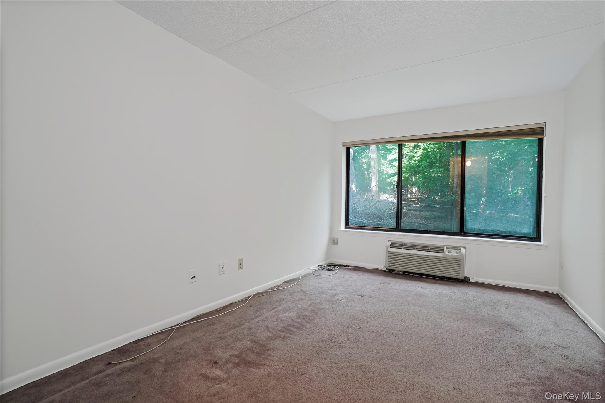 Photo 4 of this property