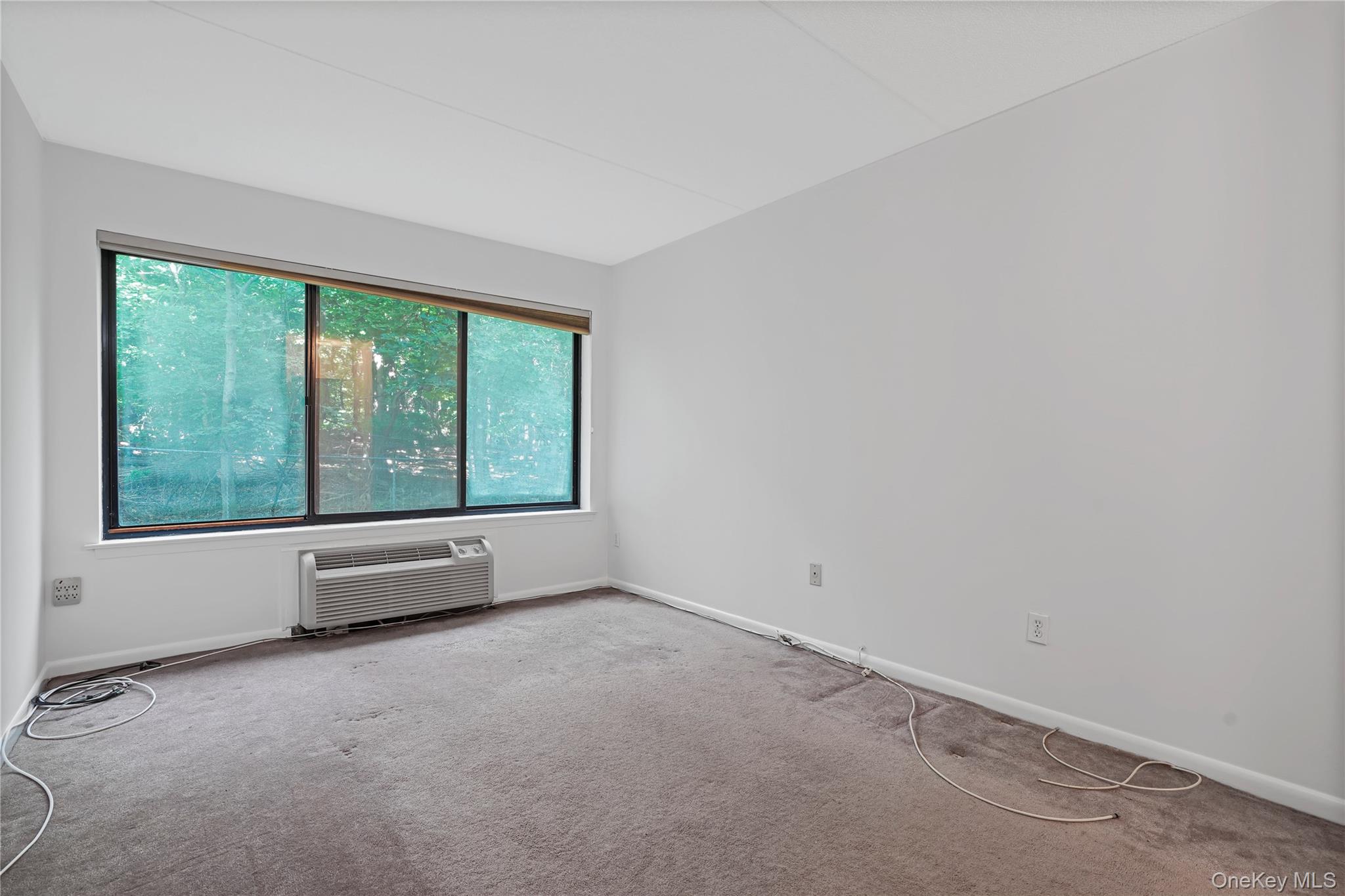 Photo 5 of this property