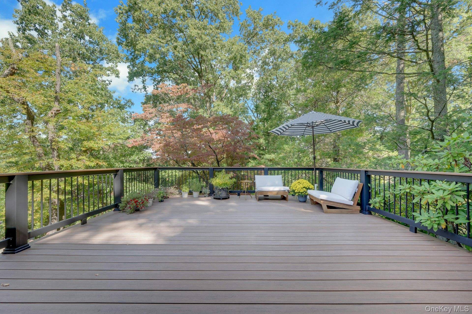 Photo 43 of this property
