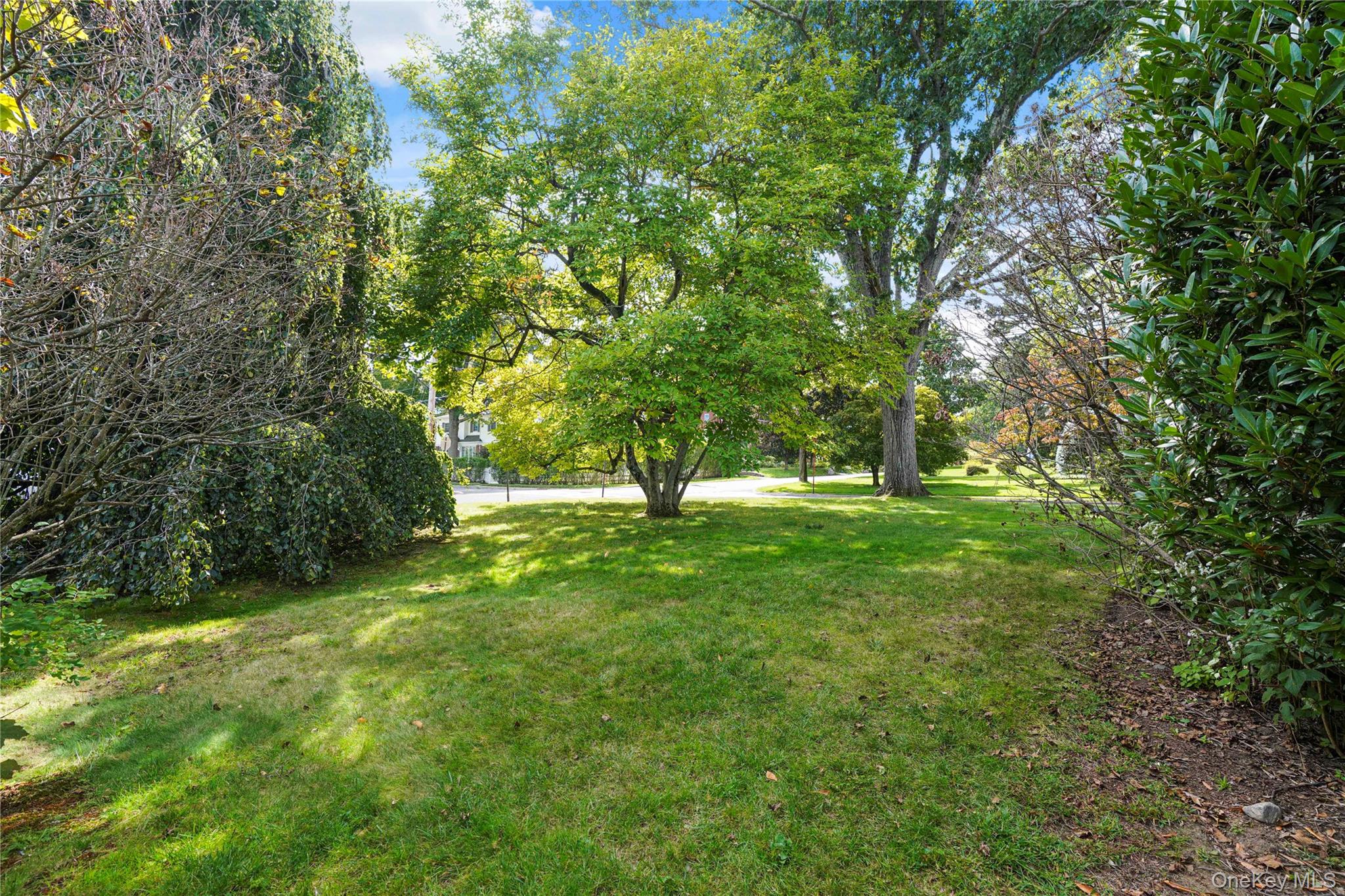 Photo 33 of this property