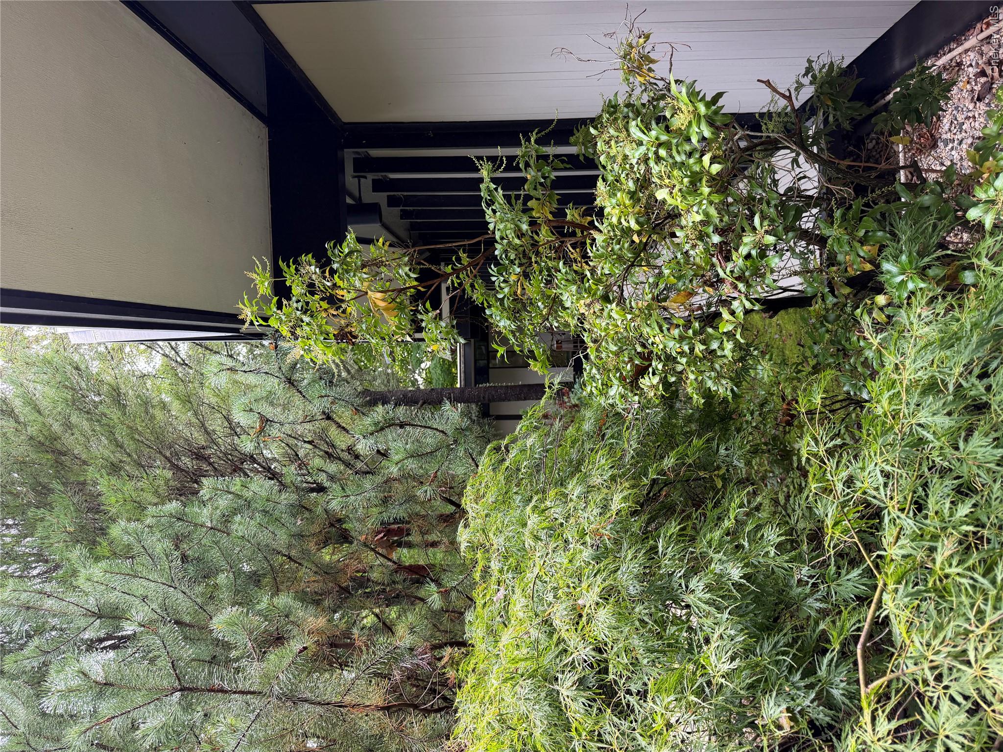 Photo 6 of this property
