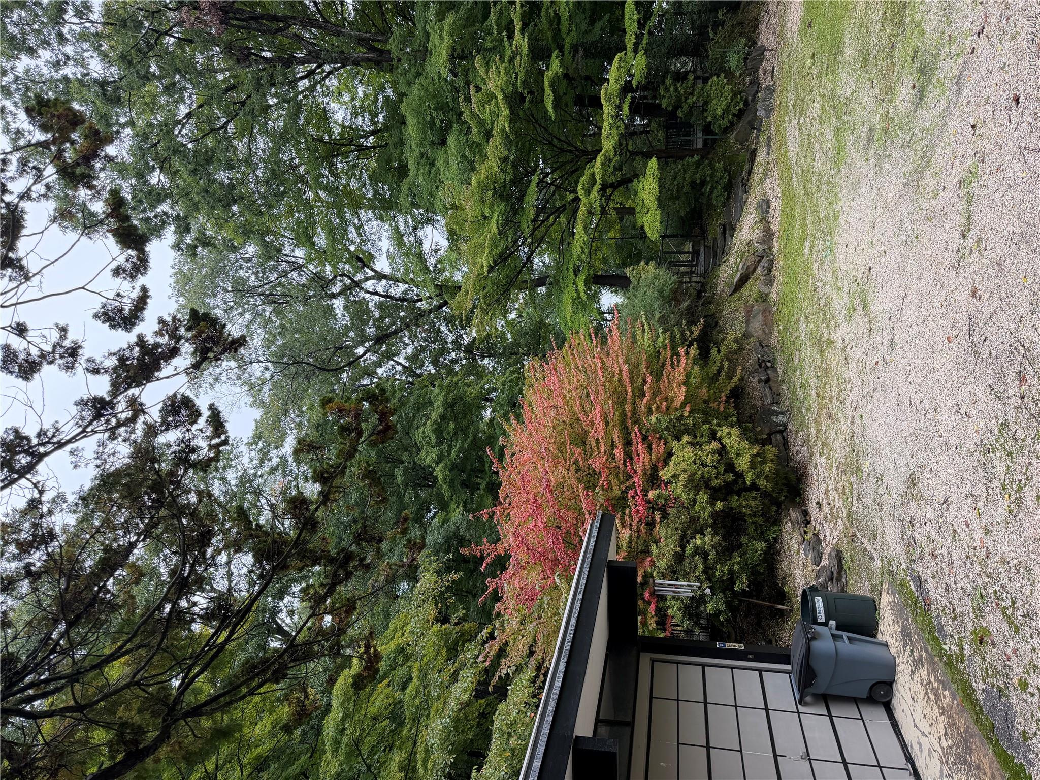 Photo 7 of this property