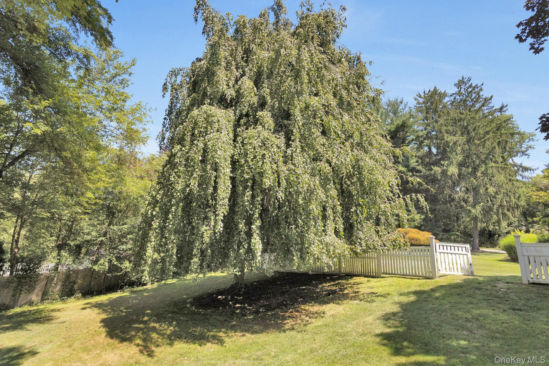Photo 36 of this property