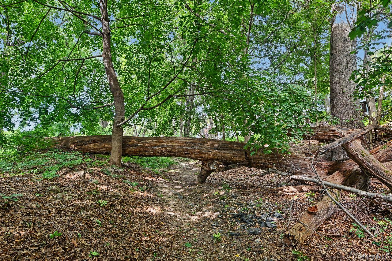 Photo 37 of this property