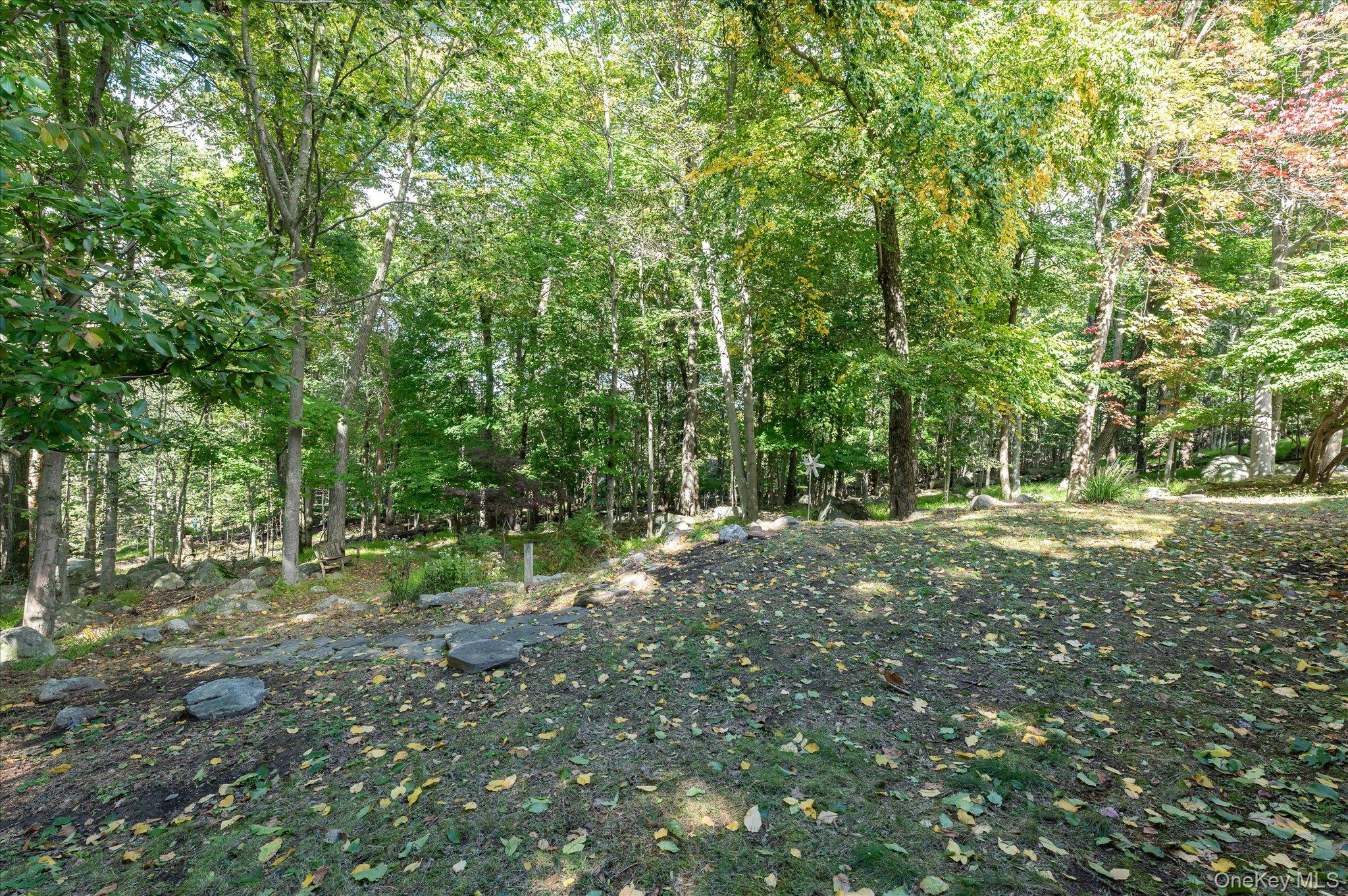 Photo 41 of this property