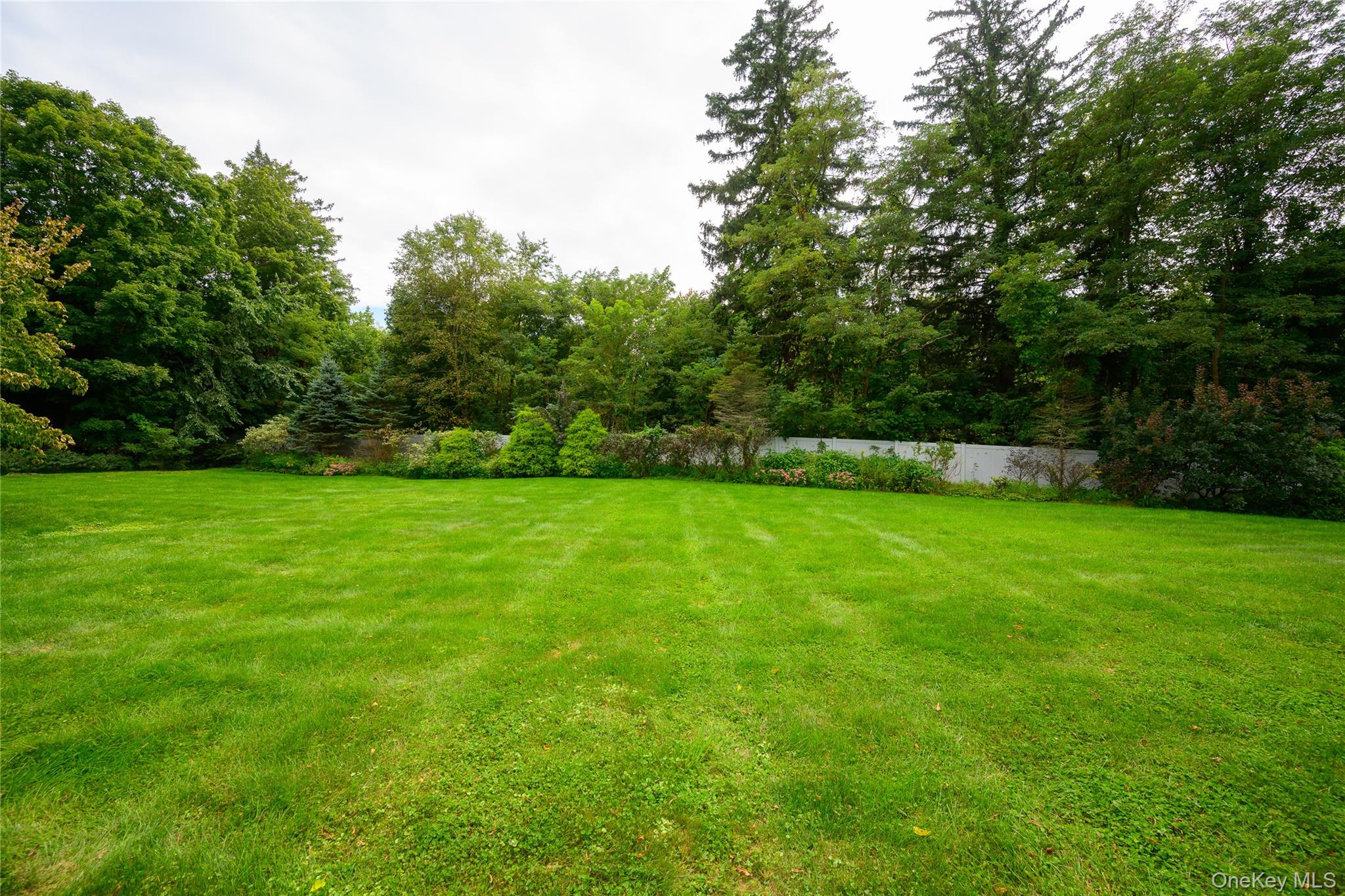 Photo 49 of this property