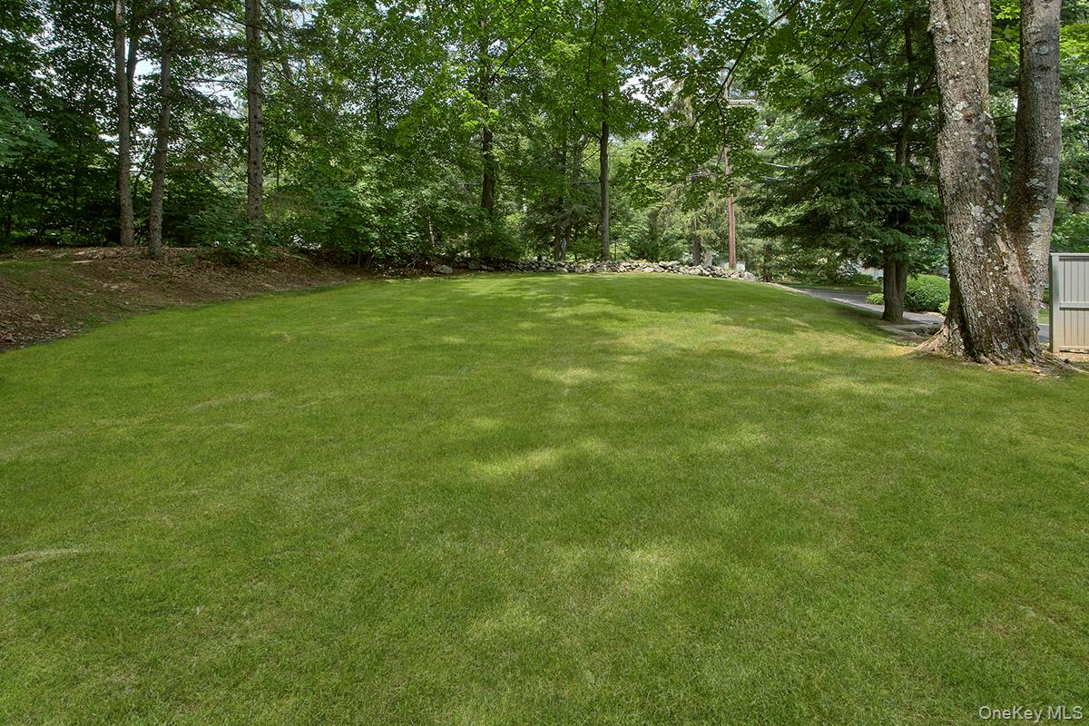 Photo 41 of this property