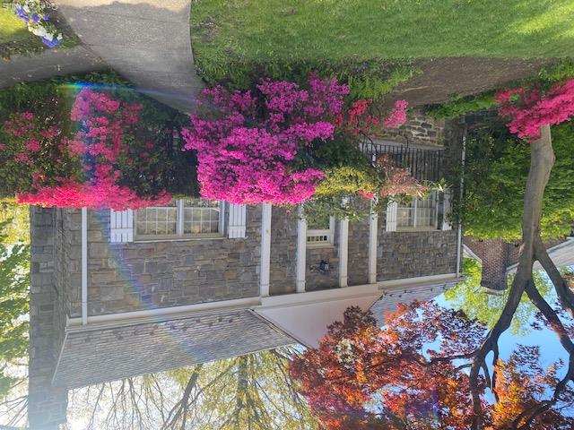 Photo 47 of this property