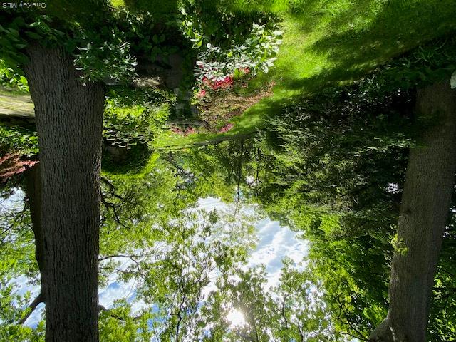 Photo 48 of this property