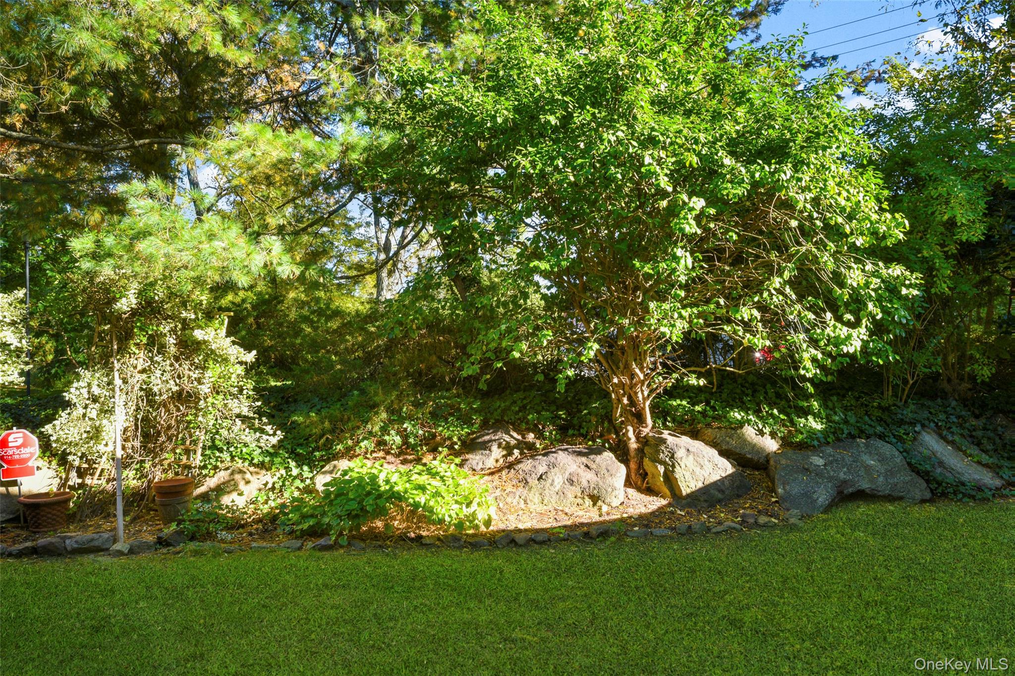 Photo 35 of this property