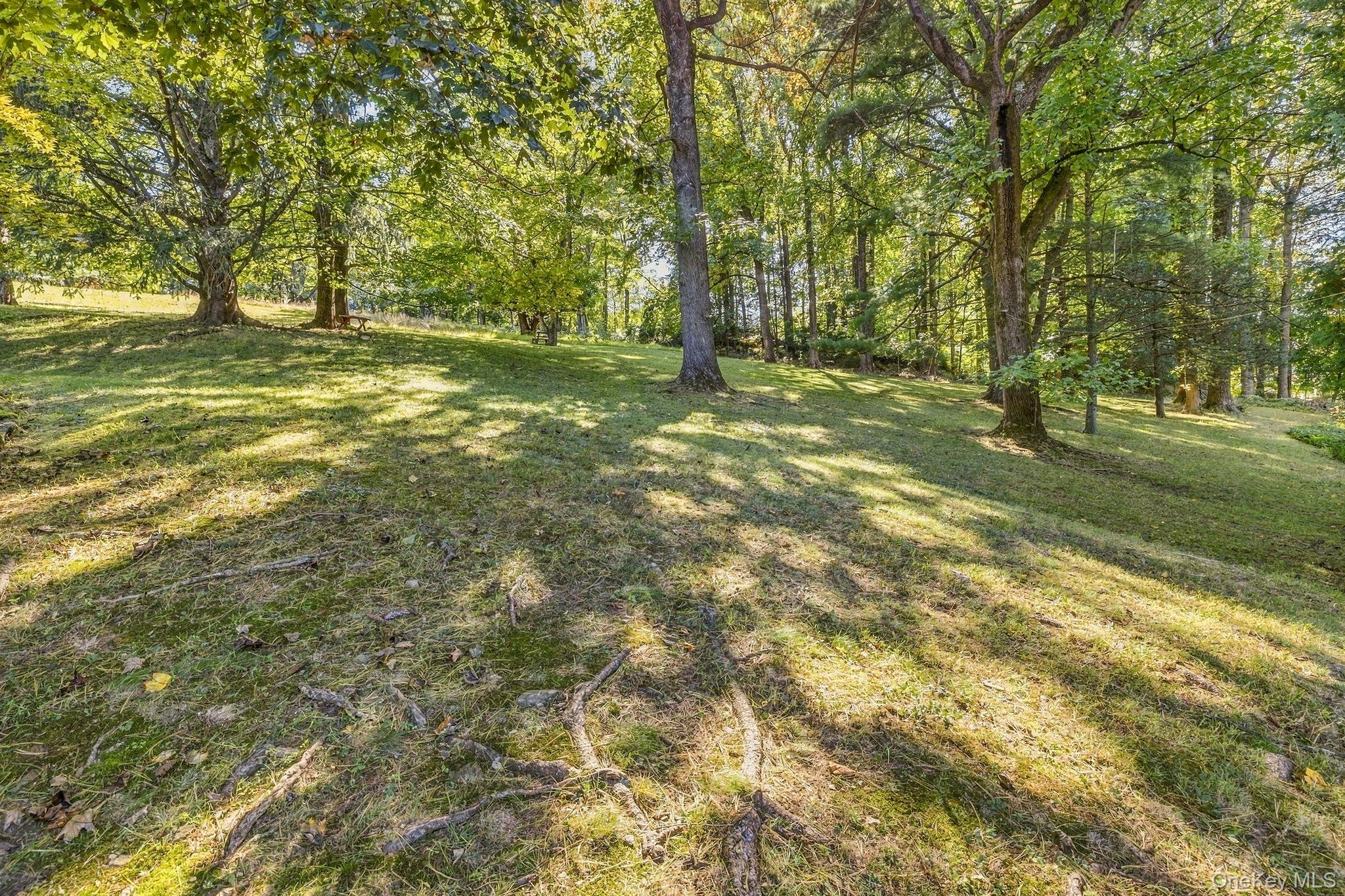 Photo 35 of this property