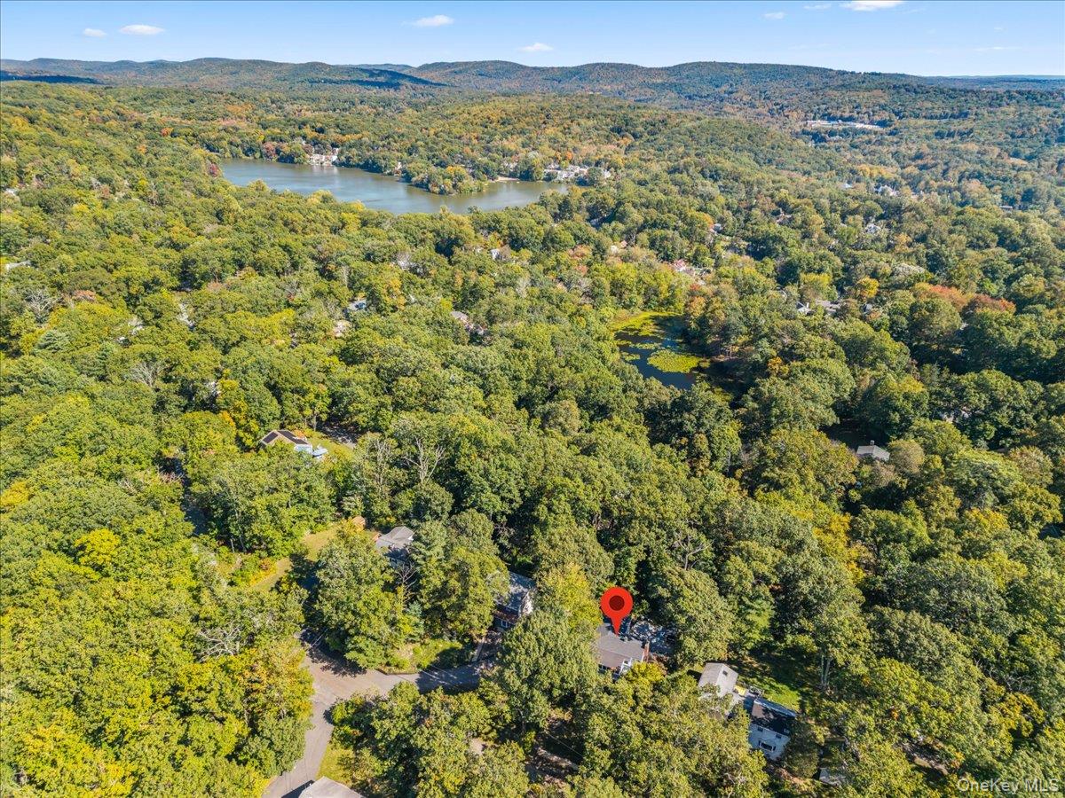 Photo 43 of this property