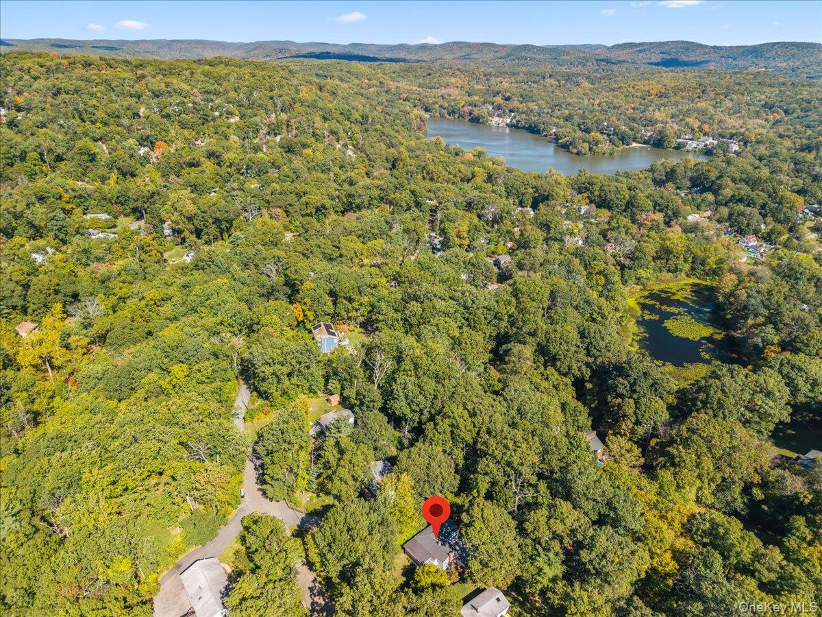 Photo 44 of this property
