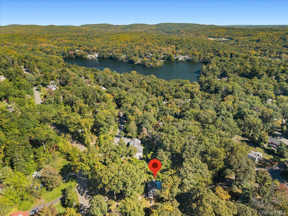 Photo 36 of this property