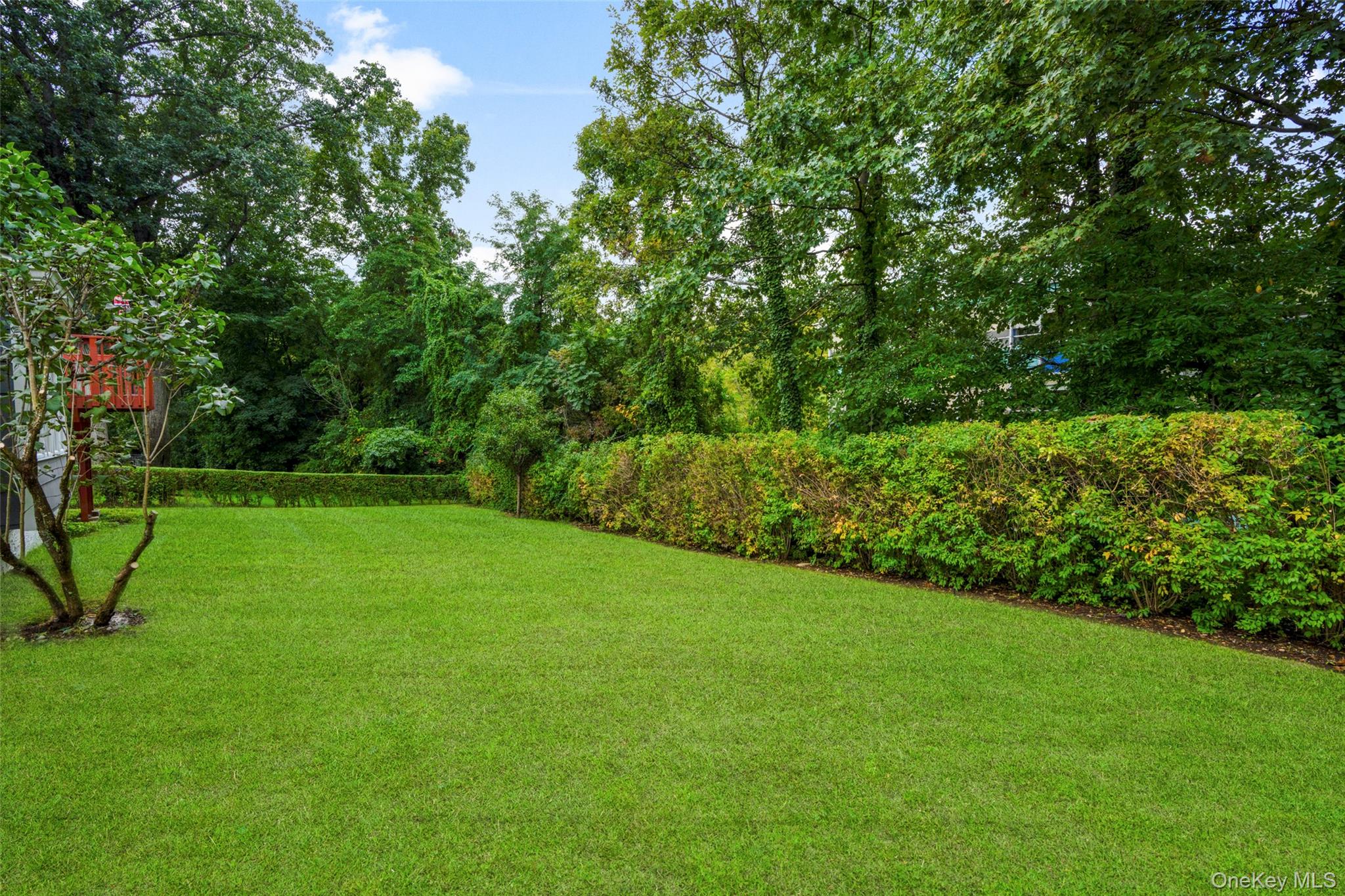 Photo 39 of this property
