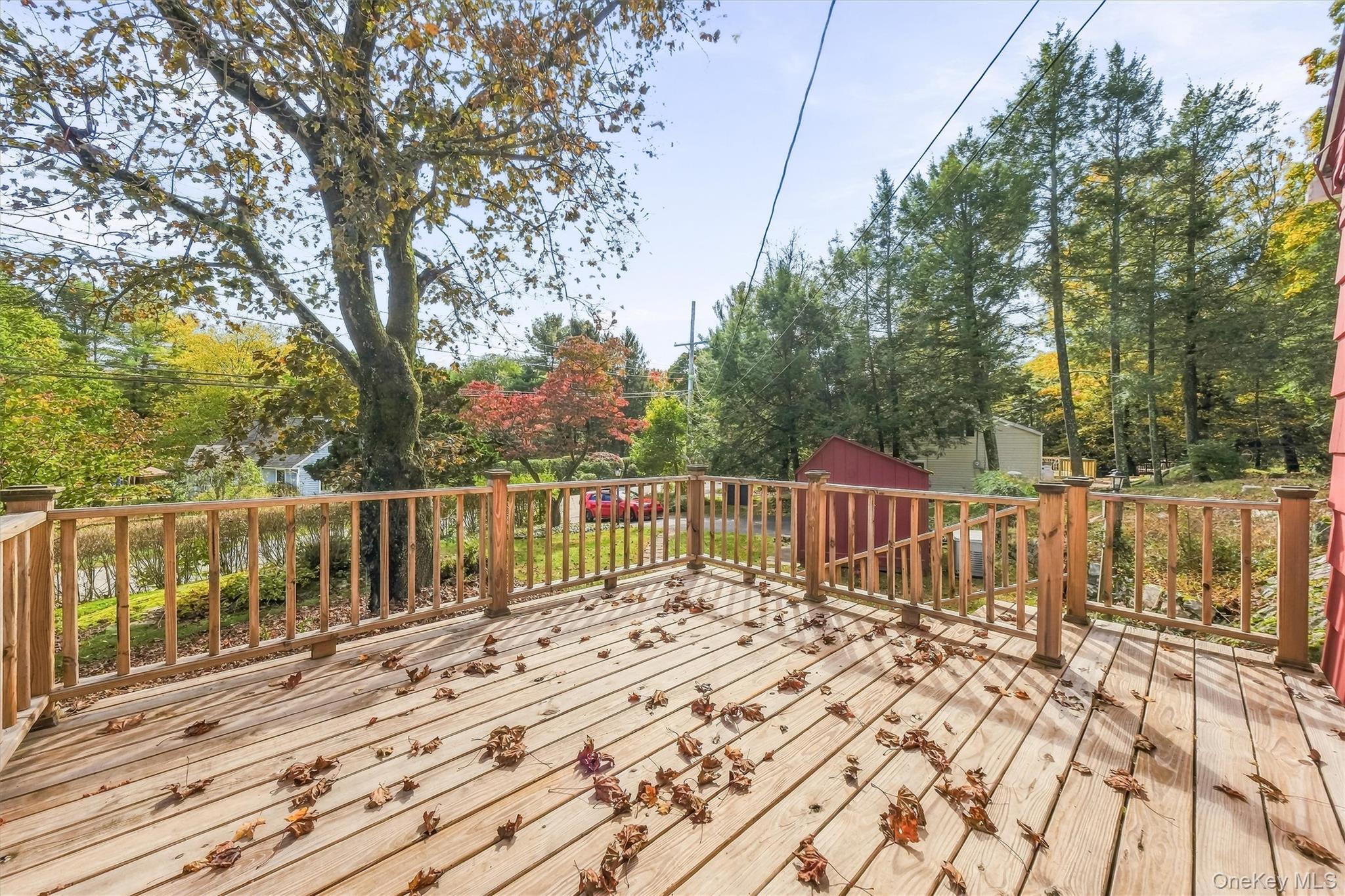 Photo 37 of this property