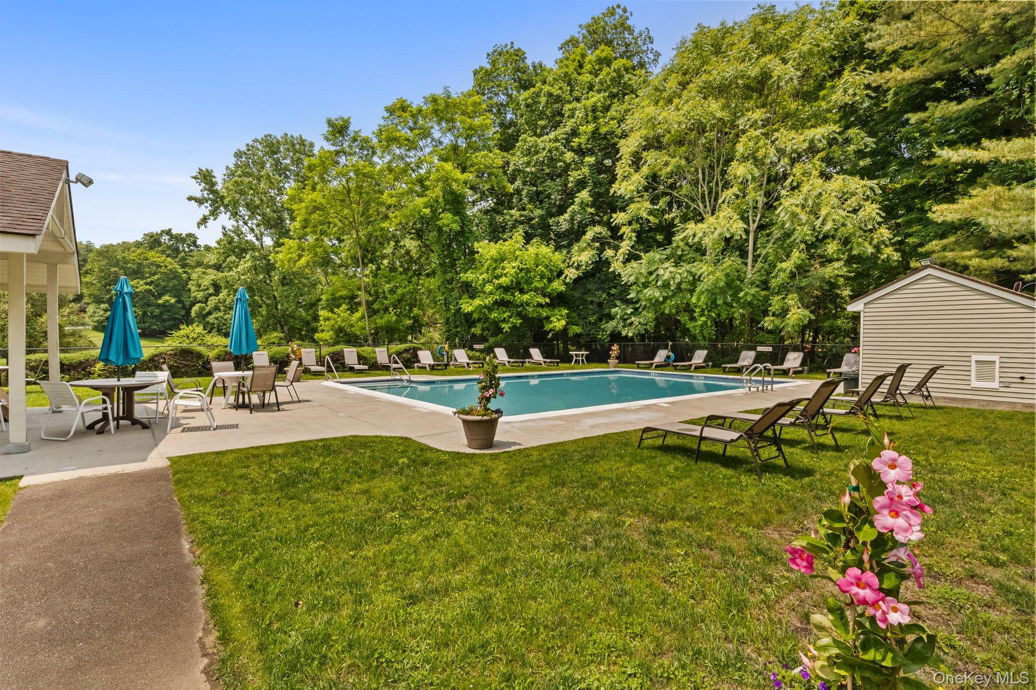Photo 41 of this property