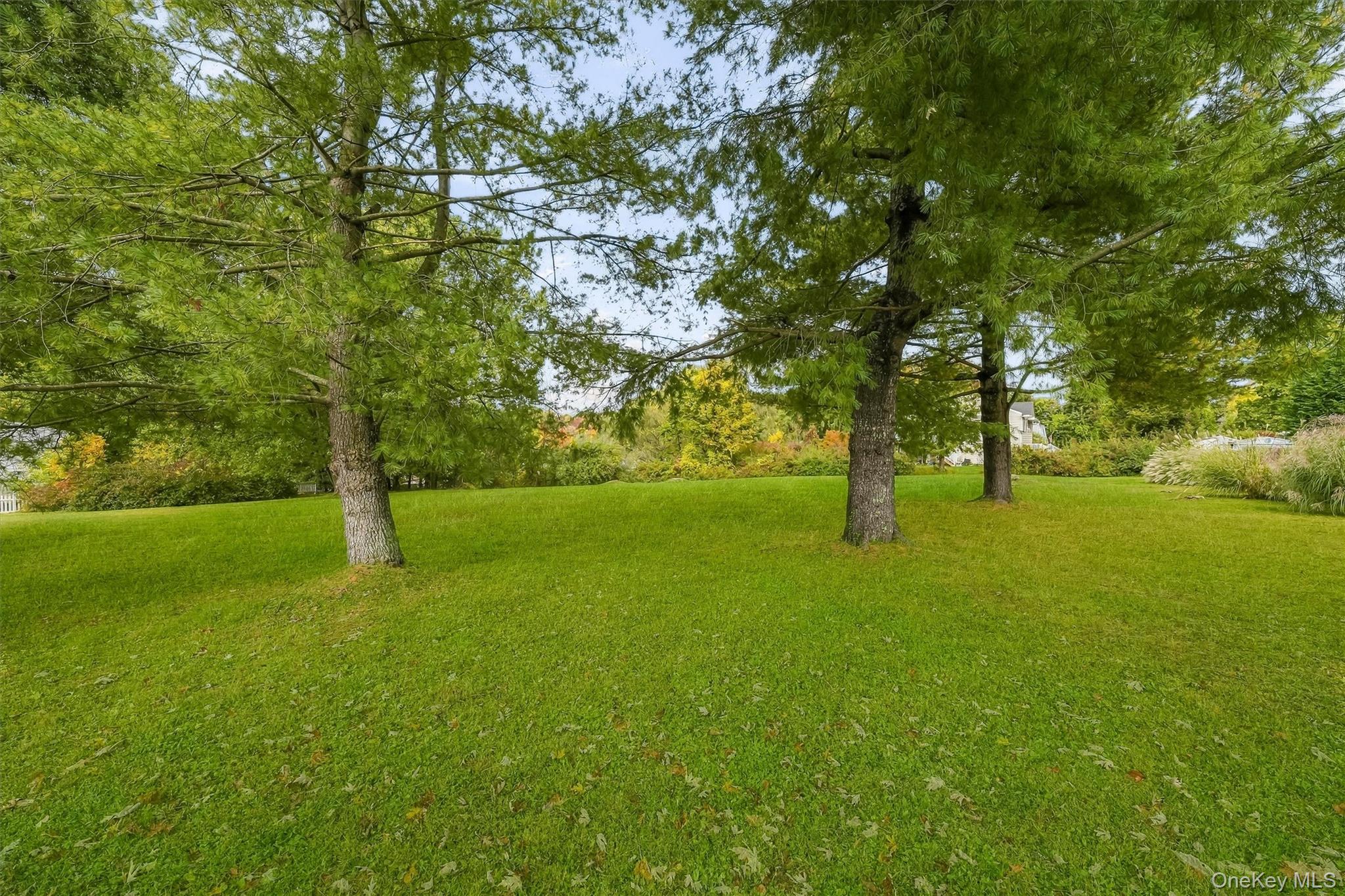 Photo 42 of this property