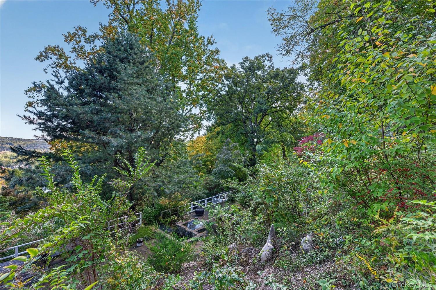 Photo 41 of this property