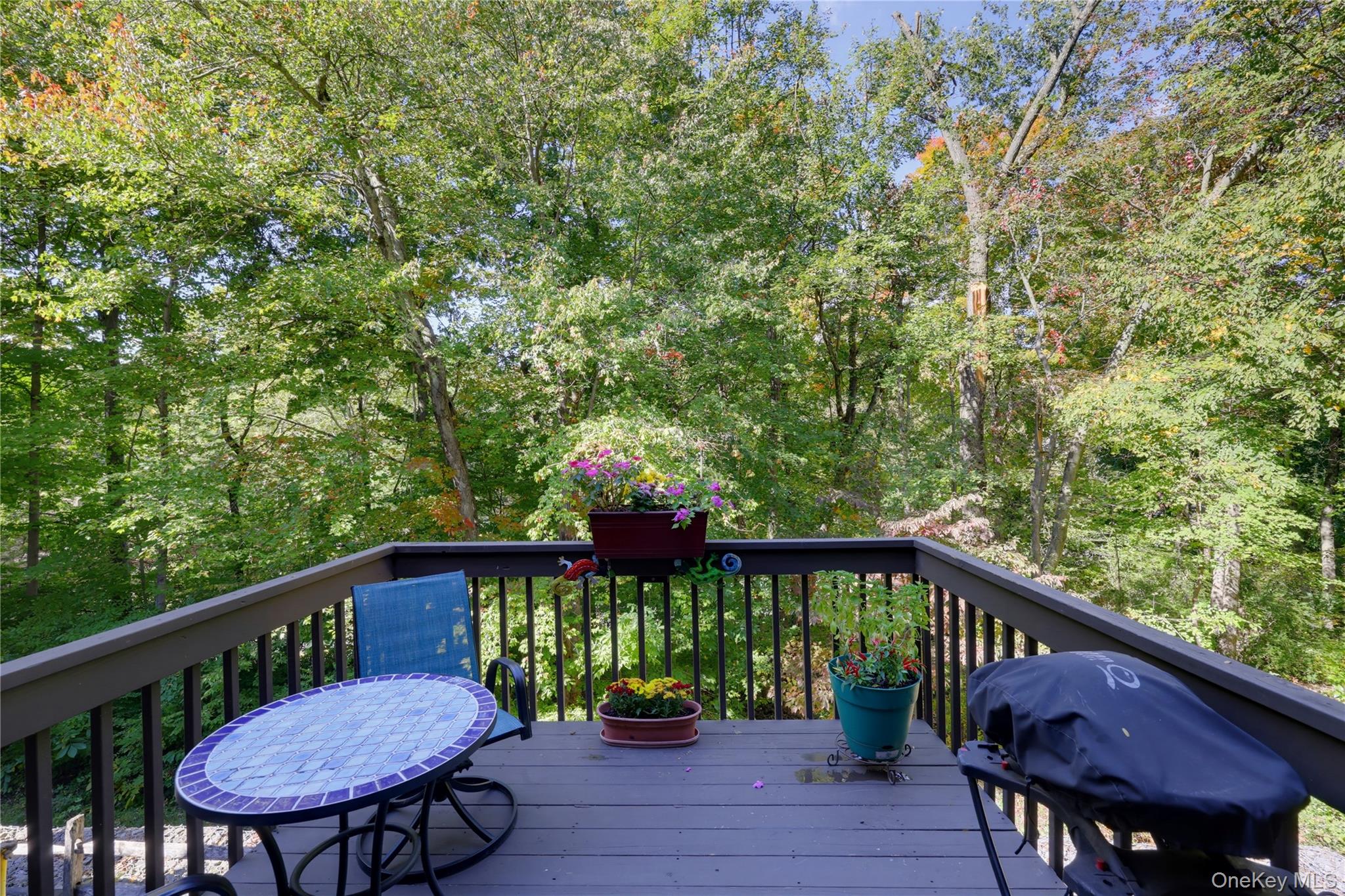 Photo 16 of this property