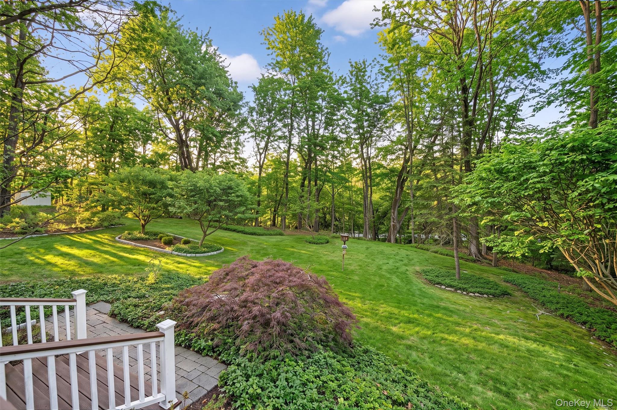 Photo 41 of this property