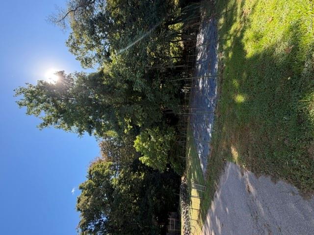 Photo 14 of this property