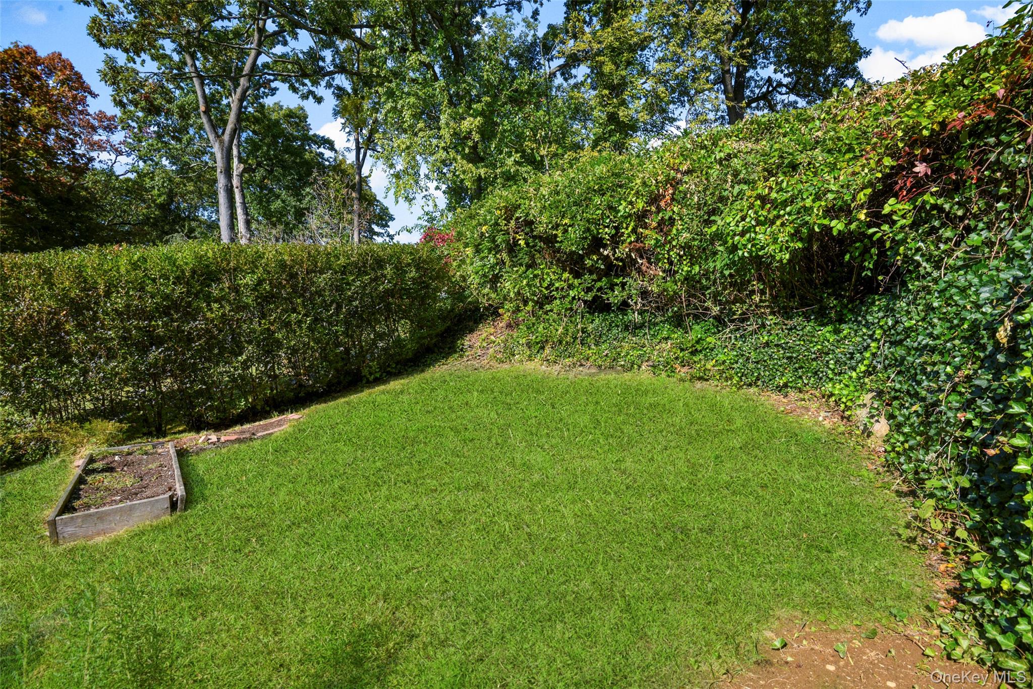 Photo 45 of this property