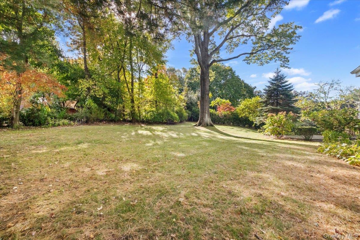 Photo 17 of this property