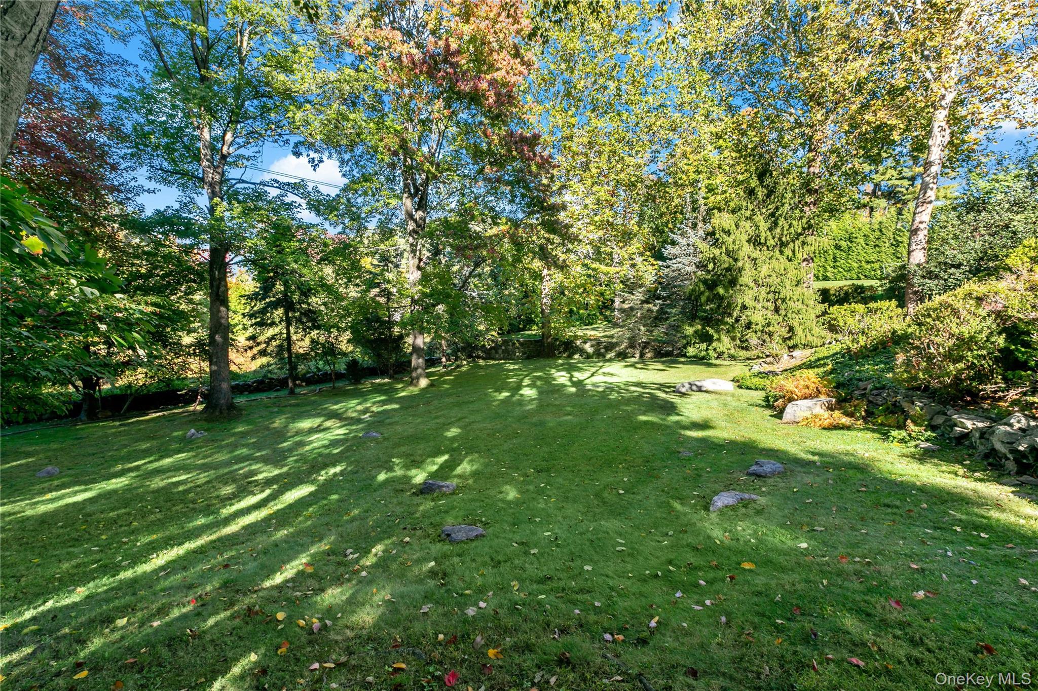 Photo 38 of this property