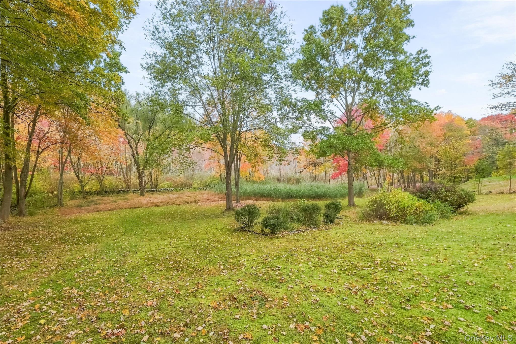 Photo 33 of this property