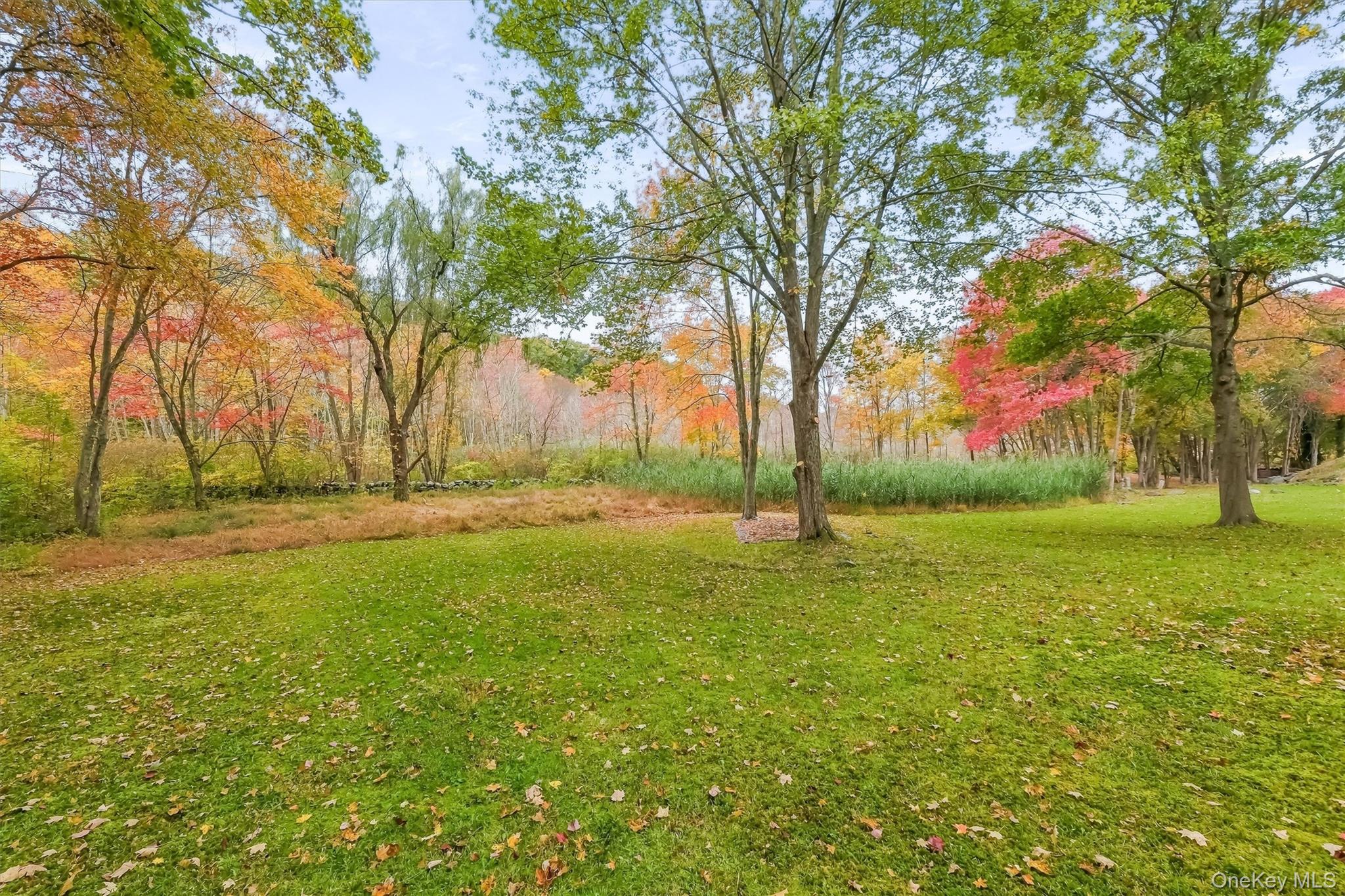 Photo 34 of this property