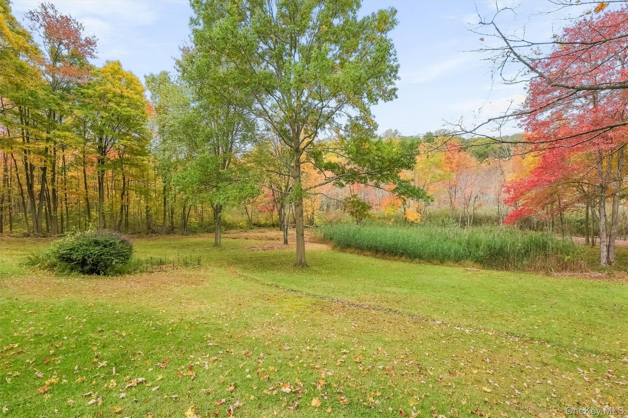 Photo 31 of this property